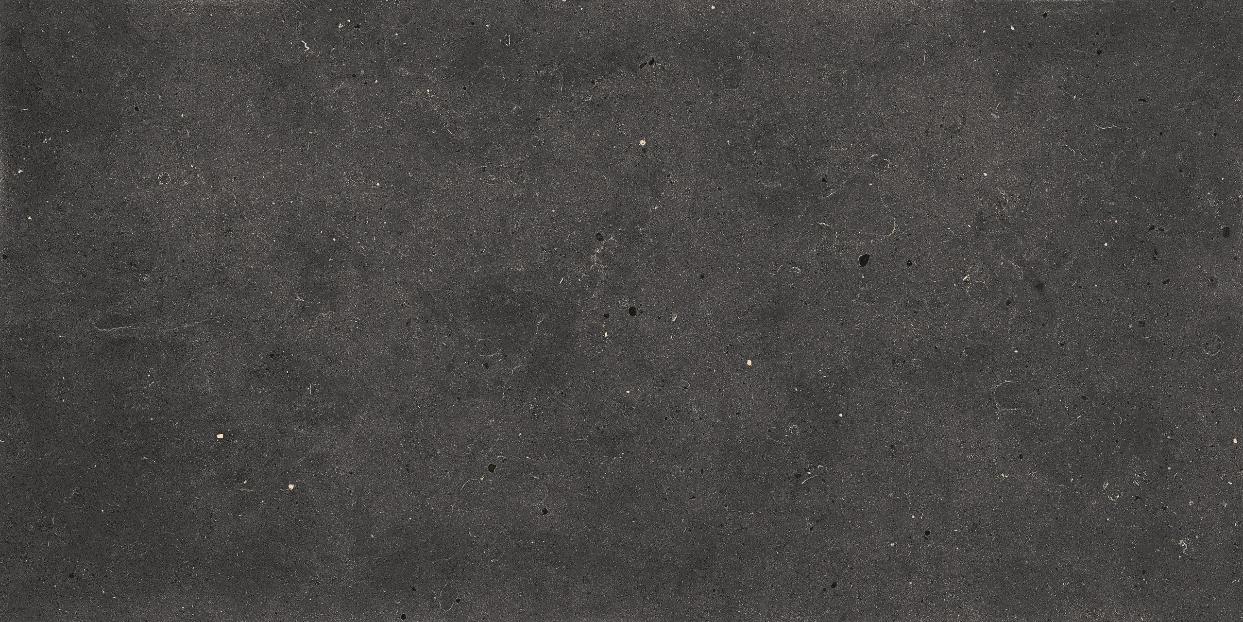 Image without description