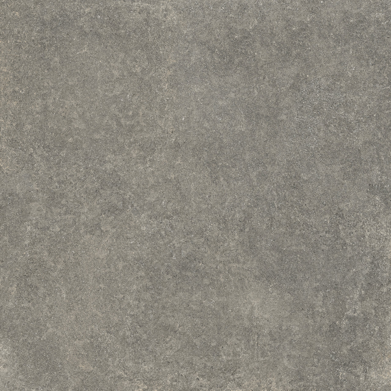 ROCHE BLEUE: Classy porcelain stoneware for unique spaces | Fiandre